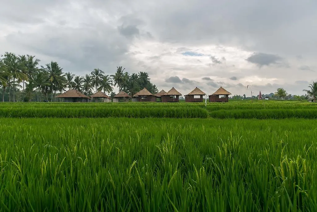 Solo Villas & Retreat Ubud 0*,