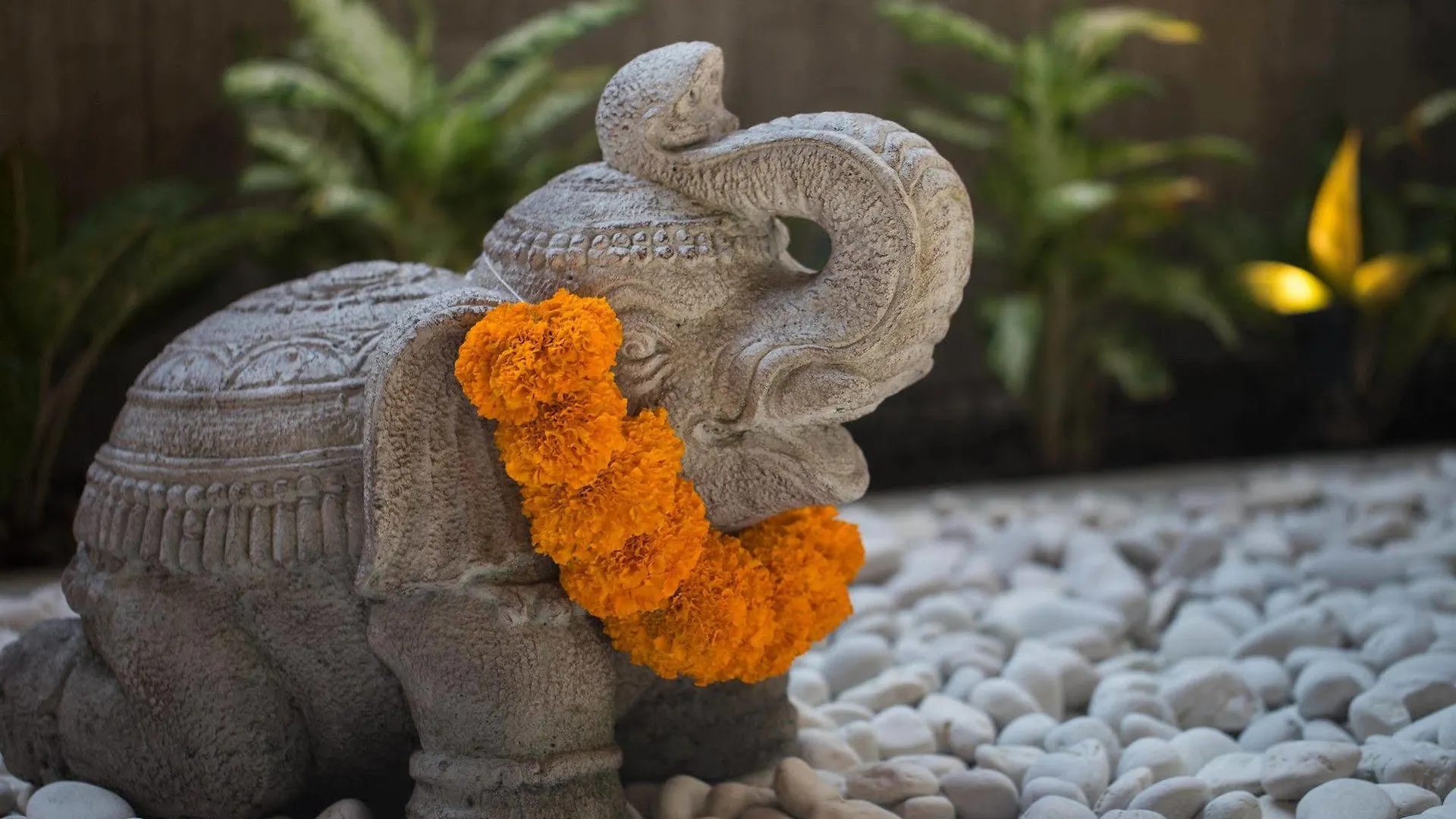 Solo Villas & Retreat Ubud  Ubud (Bali)